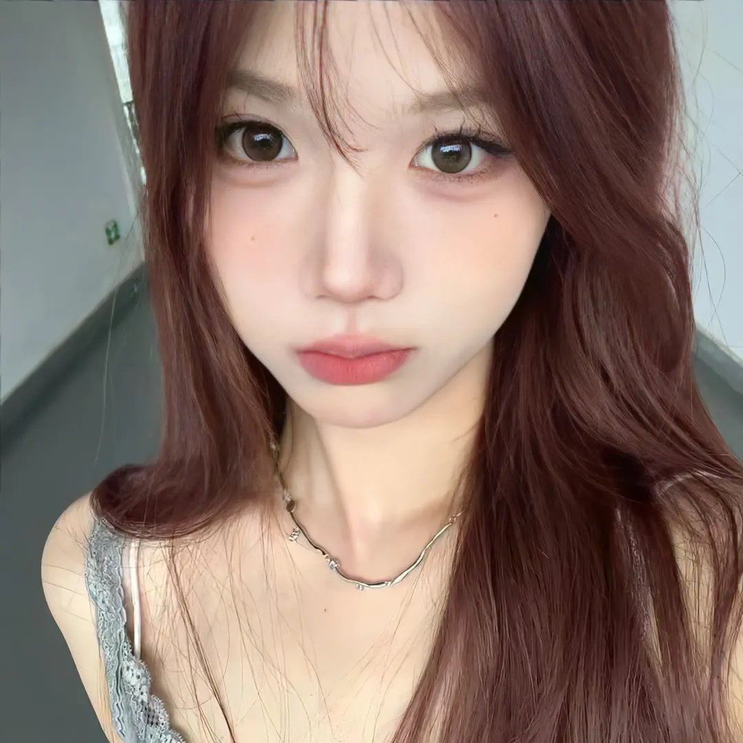 木材宝藏狗